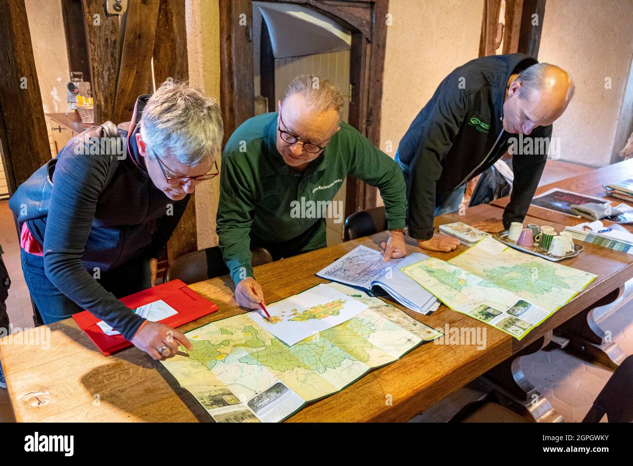 France, Val d'Oise, Montmorency forest, Ink disease (Phytophthora pathogen), the team of scientists determines the areas to be examined (from the left Cecile Robin, Dennis Hemmer, Claude Husson) Stock Photo