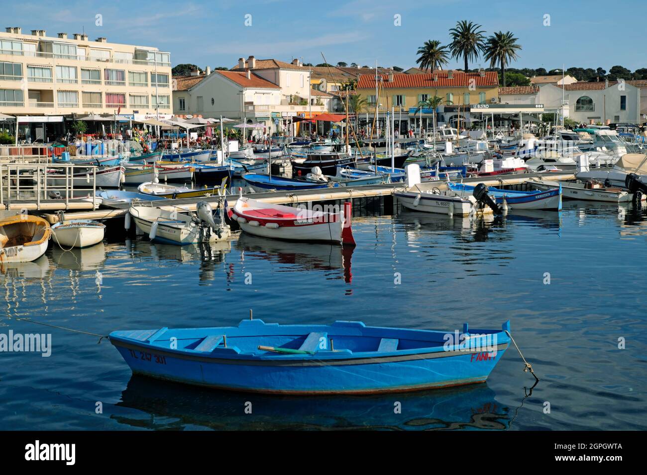 France, Var, Six Fours les Plages, Le brusc, the port, traditional boats,  the Pointus Stock Photo - Alamy