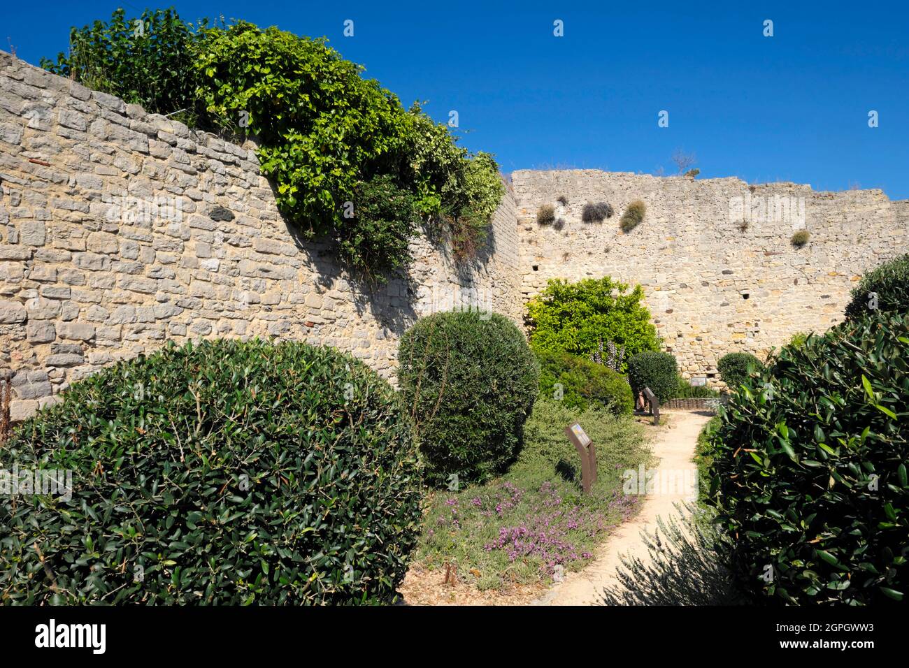 France, Var, Ollioules, under the castle, the Vintimille garden, a former medieval garden Stock Photo