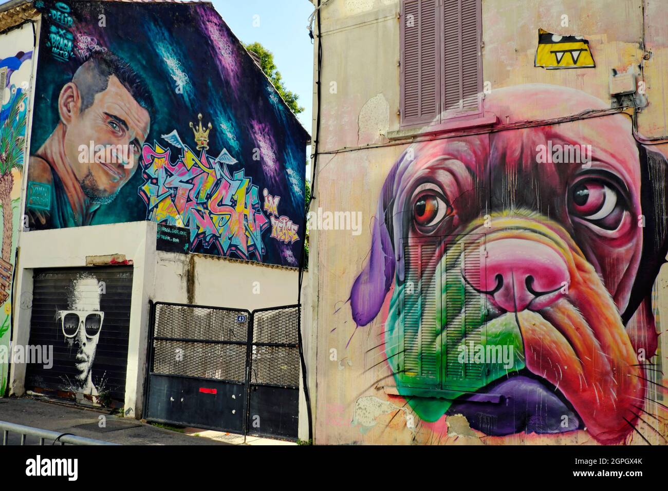 France, Var, La Seyne sur Mer, Impasse Verlaque, street art, facades, dog by graffiti artist Dopie, frescoes by Supo Caos and Seaty Stock Photo