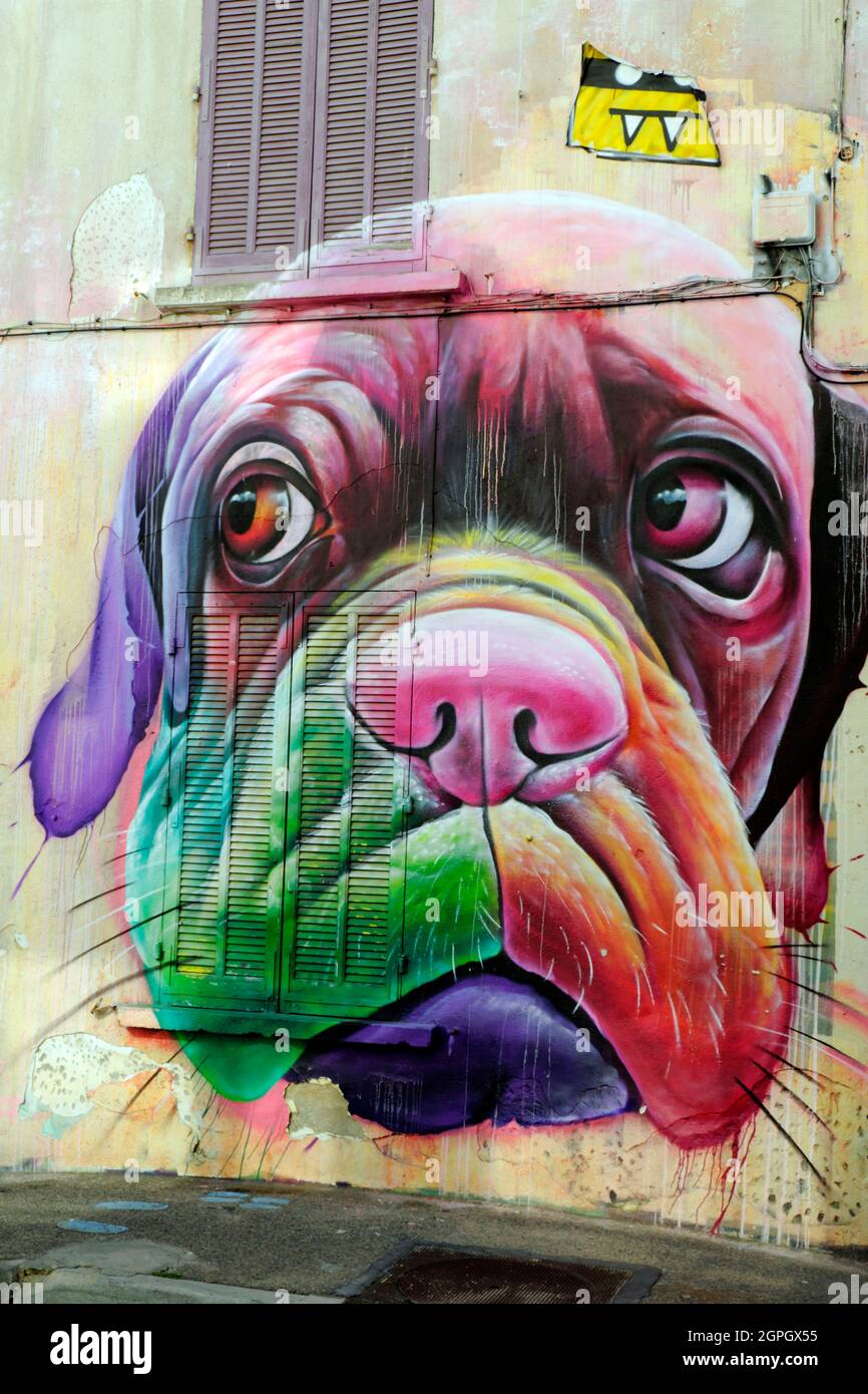 France, Var, La Seyne sur Mer, Impasse Verlaque, street art, facades, dog by graffiti artist Dopie Stock Photo