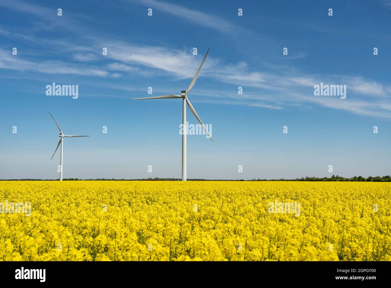France, Eure et Loir, Allainville, wind farm, rapeseed field Stock Photo