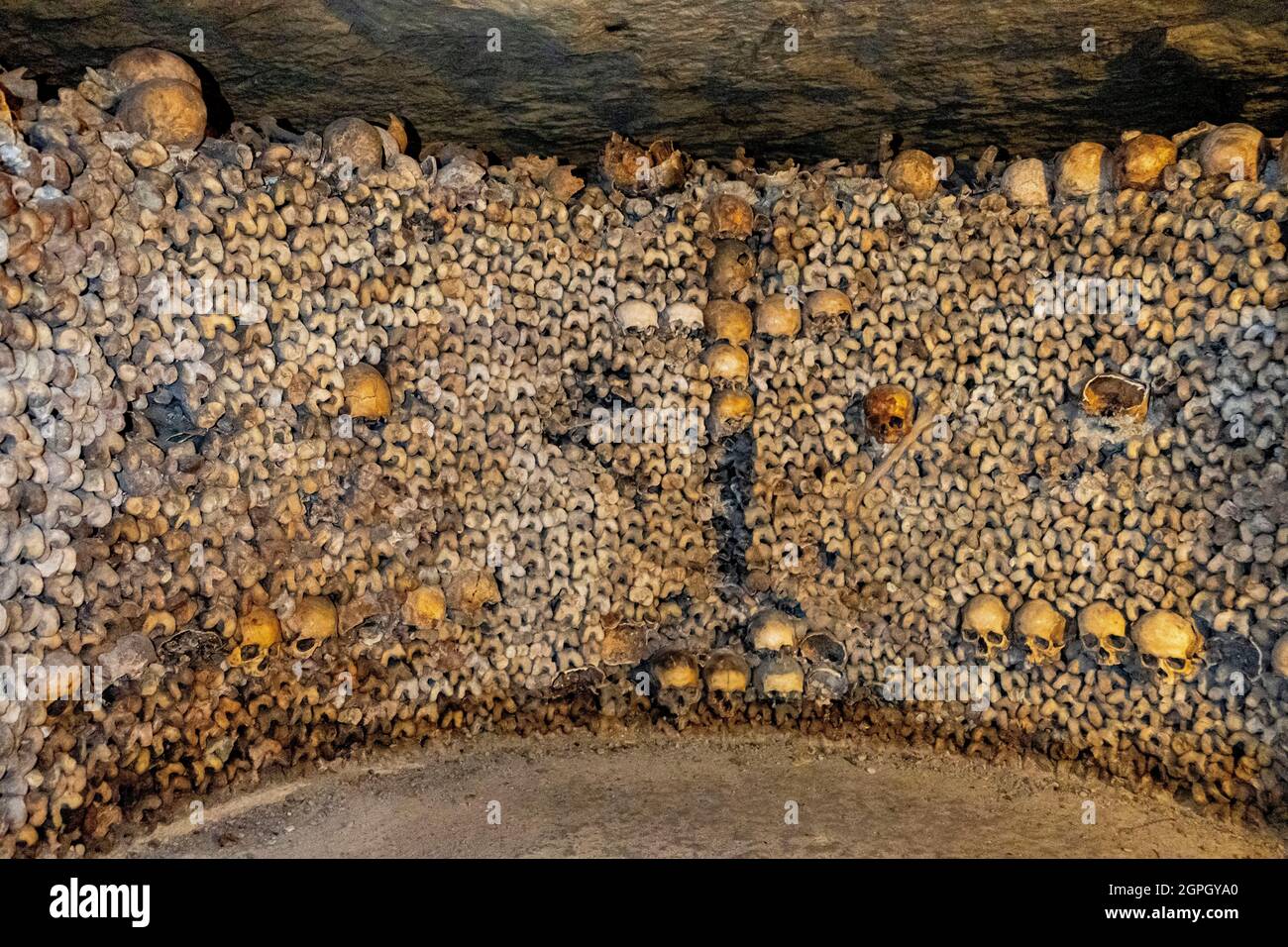 France, Paris, the Paris bones from cemeteries or Parisian