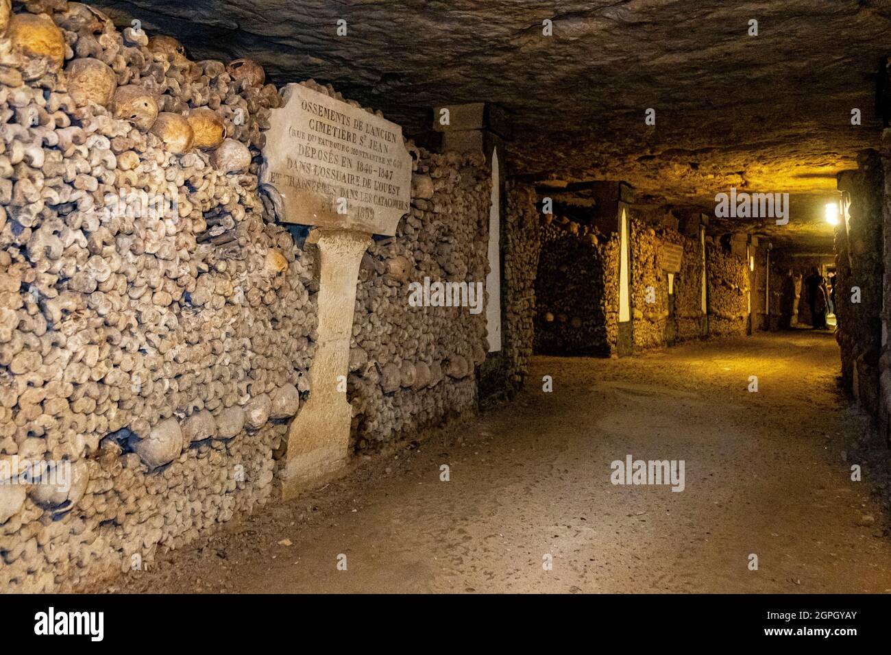 France, Paris, the Paris bones from cemeteries or Parisian