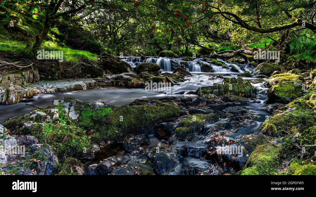 Ceunant Mawr waterfall upstream Stock Photo - Alamy