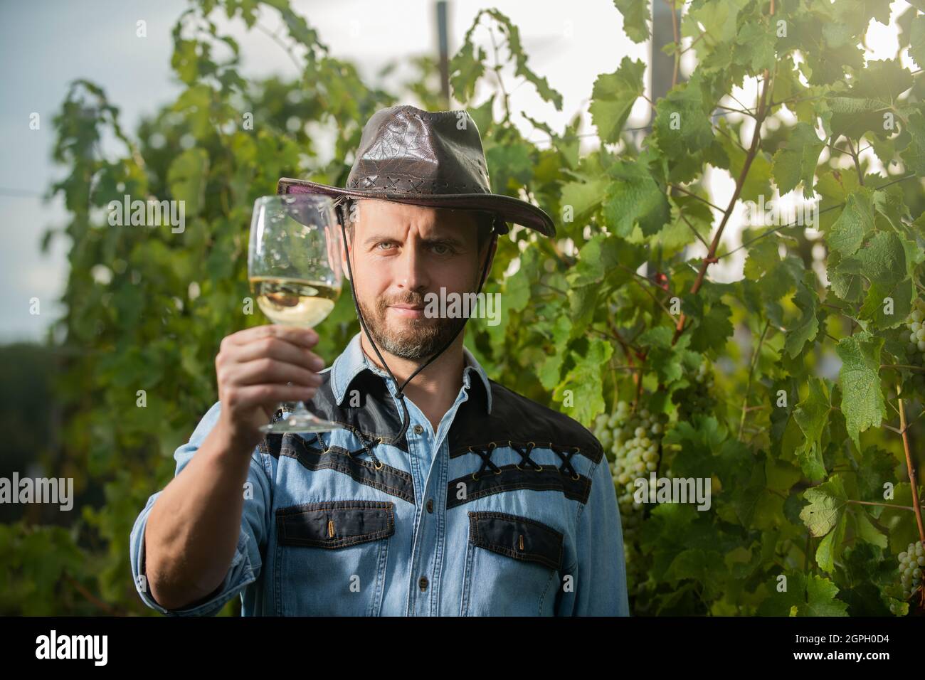 mature enologist man in hat hold wine glass at winery outdoor, cheers ...