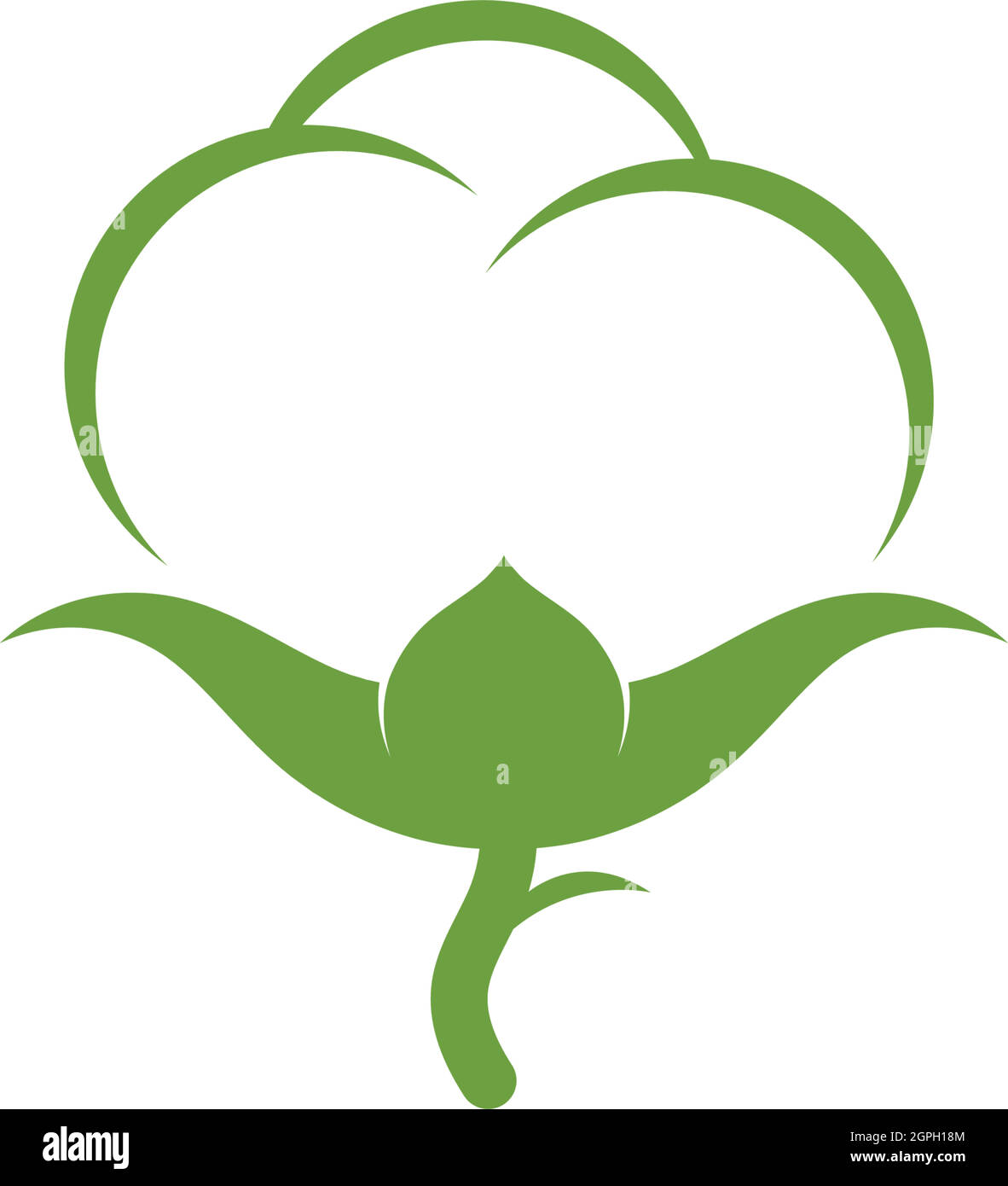 cotton vector illustration design Stock Vector Image & Art Alamy