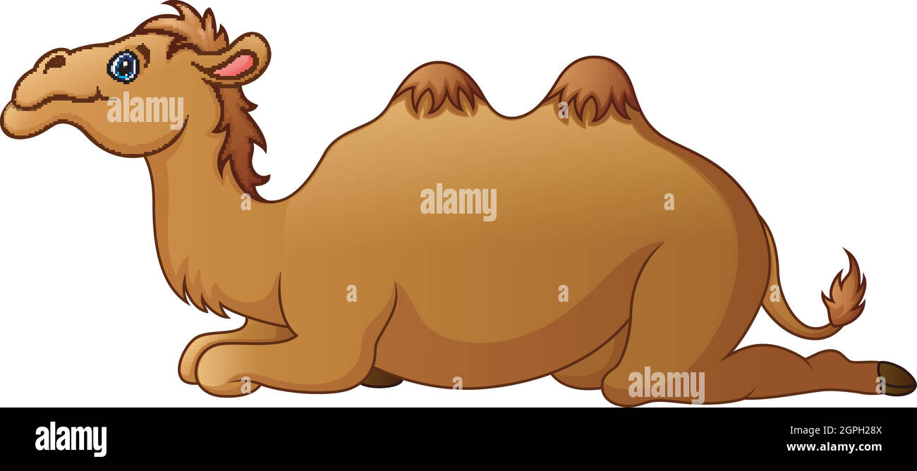 Vector illustration of Cute camel cartoon Stock Vector Image & Art - Alamy