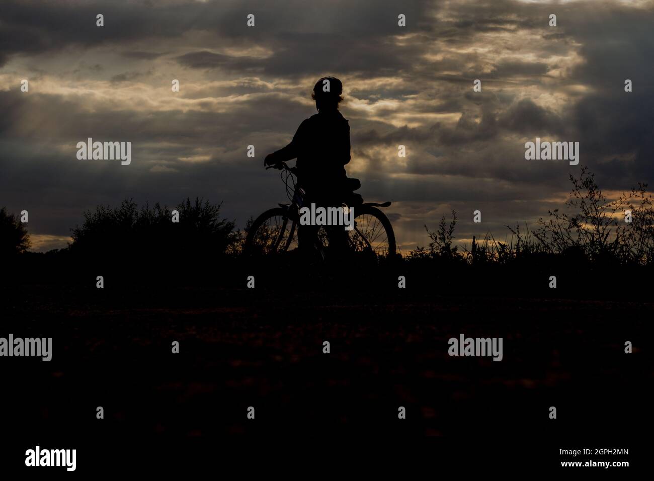 Silhouette of a cyclist in the light of the setting sun Stock Photo