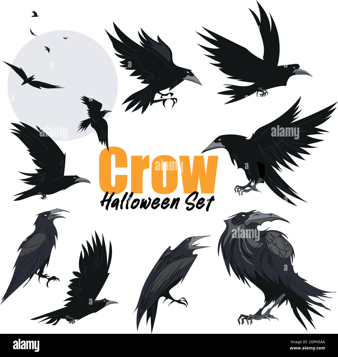 Flying crow png images  PNGWing