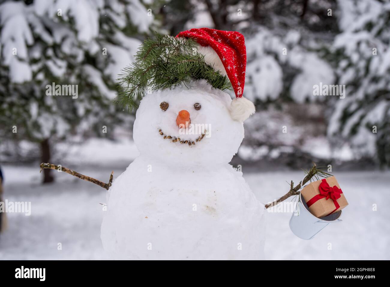 Funny snowman in a forest. Snowman in santa hat Stock Photo - Alamy Funny snowman in a forest. Snowman in santa hat Stock Photo - Alamy