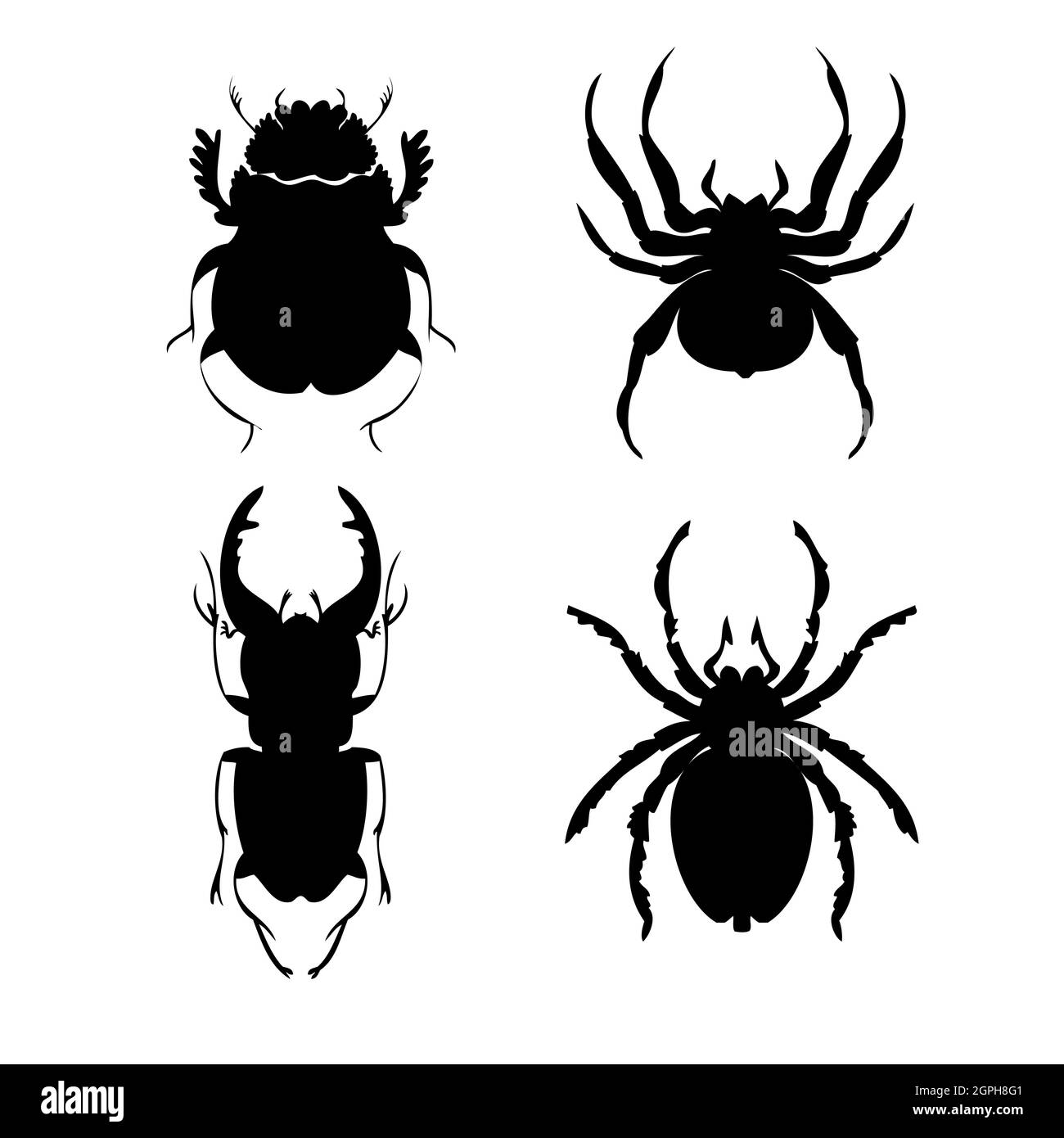 Set of beetles and spiders silhouette vector illustrations. Hand drawing style Stock Vector
