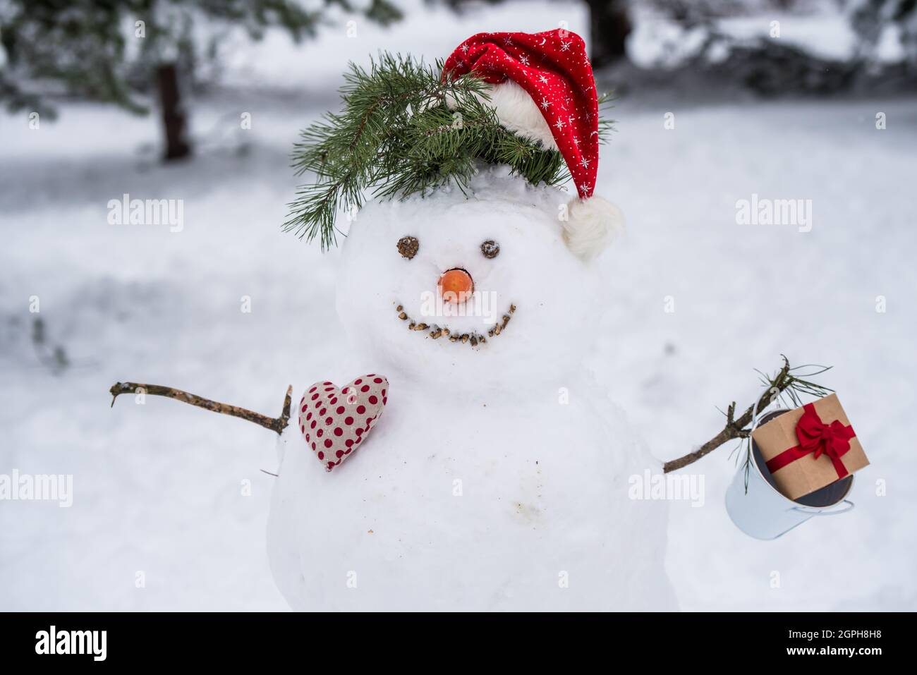 Funny snowman in a forest. Snowman in santa hat Stock Photo - Alamy Funny snowman in a forest. Snowman in santa hat Stock Photo - Alamy