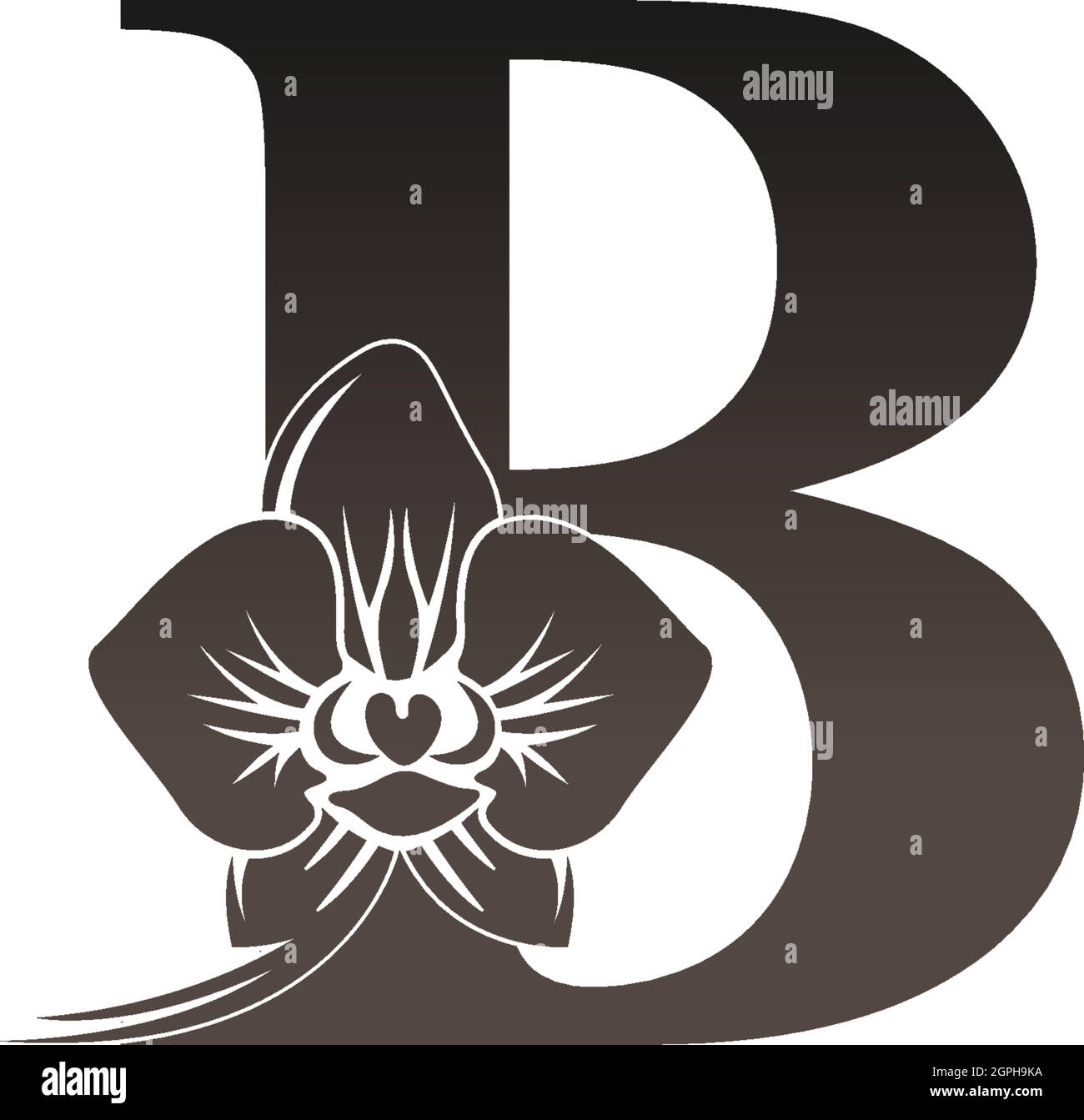 Letter B logo icon with black orchid design vector Stock Vector