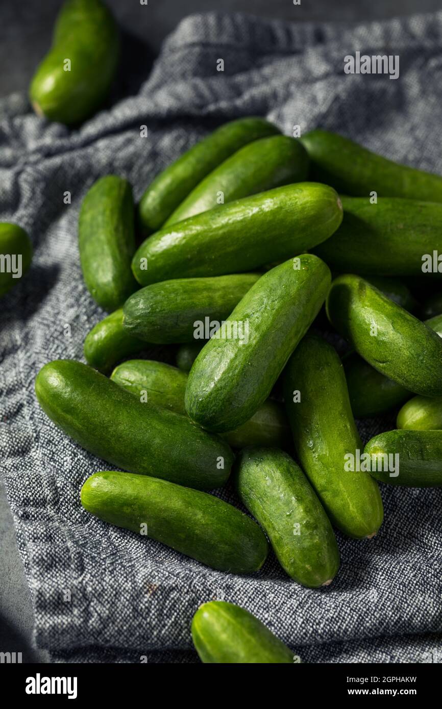 https://c8.alamy.com/comp/2GPHAKW/raw-green-organic-mini-cucumbers-ready-to-eat-2GPHAKW.jpg