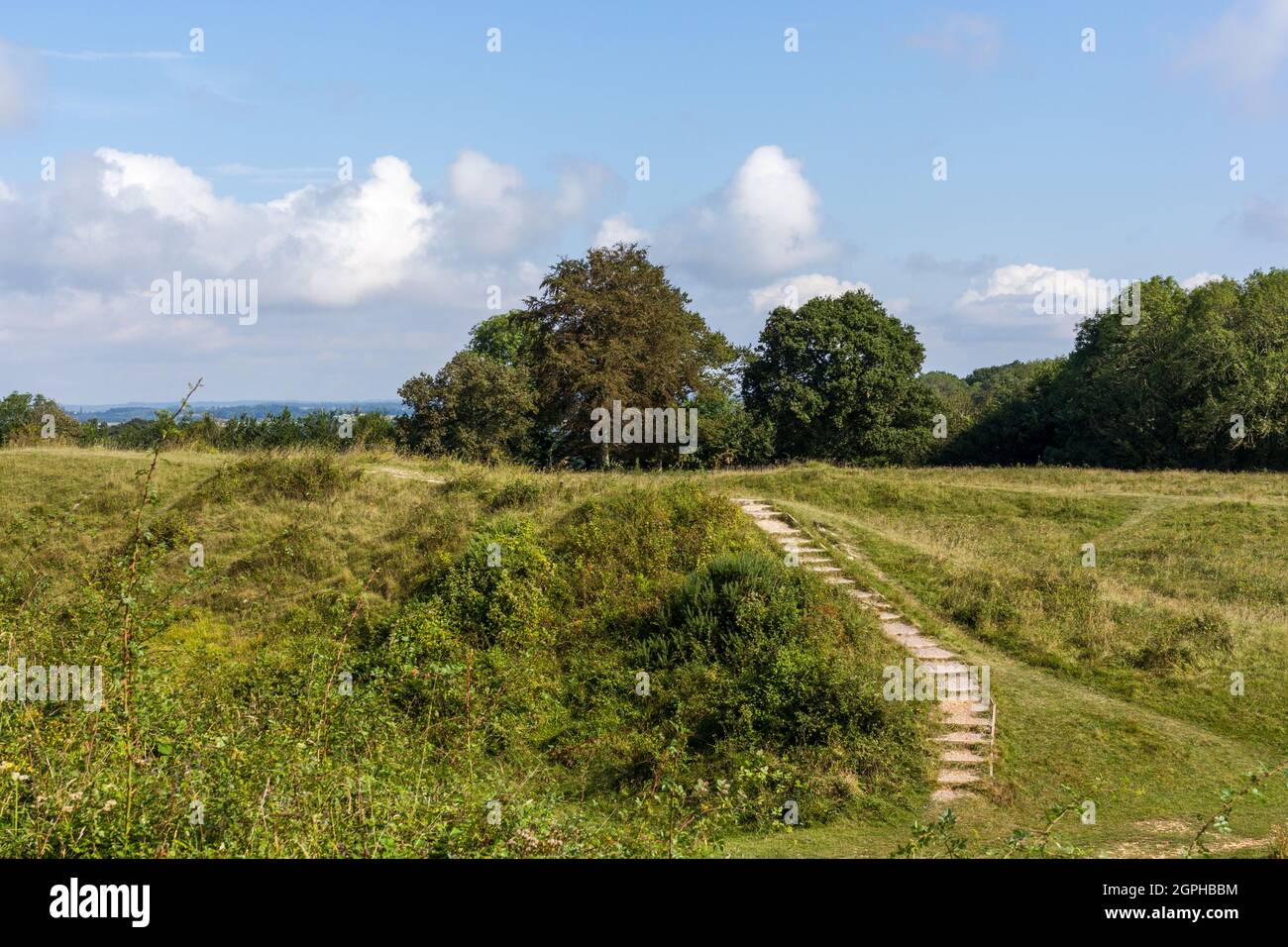 Badbury Rings Iron Age Hill Fort in Dorset, England, UK Stock Photo - Alamy