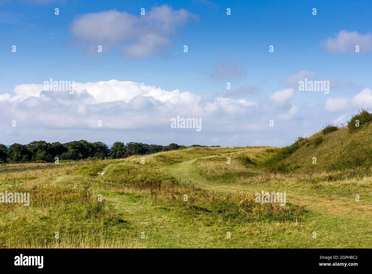 Badbury Rings Iron Age Hill Fort in Dorset, England, UK Stock Photo - Alamy