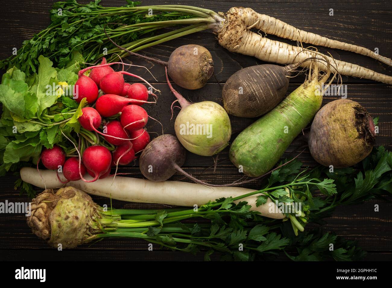 Root vegetables on a wooden background, different types of radish with beetroot and parsley