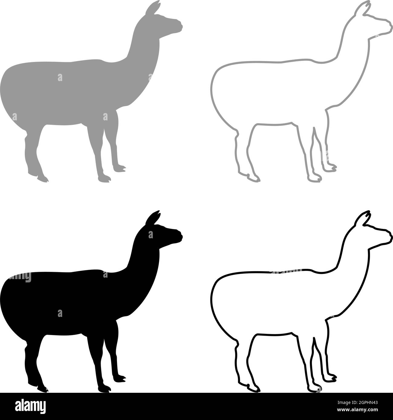 Alpaca Llama Lama Guanaco silhouette grey black color vector illustration solid outline style image Stock Vector