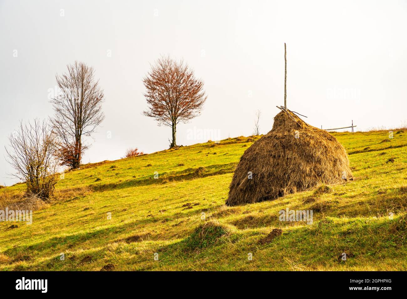 Sunrise in misty morning valley with haystack on grassland hill Stock ...