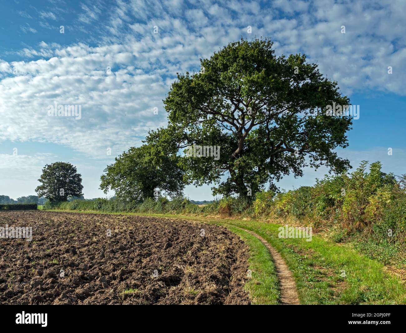 Path beside a ploughed field at Bishopthorpe, North Yorkshire, England Stock Photo