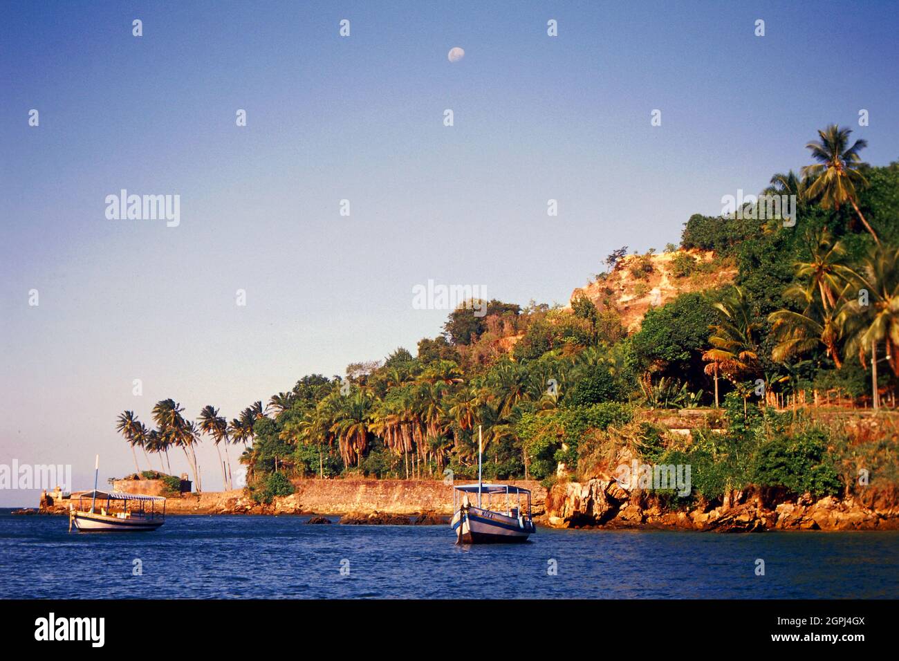 Exotic brazil hi-res stock photography and images - Alamy