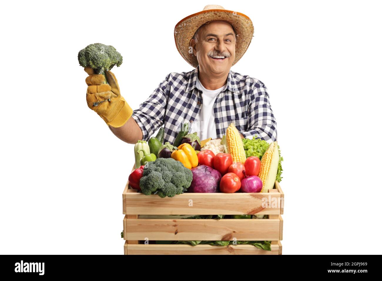 Smiling mature farmer holding broccoli and standing behind a crate with fresh organic vegetables isolated on white background Stock Photo