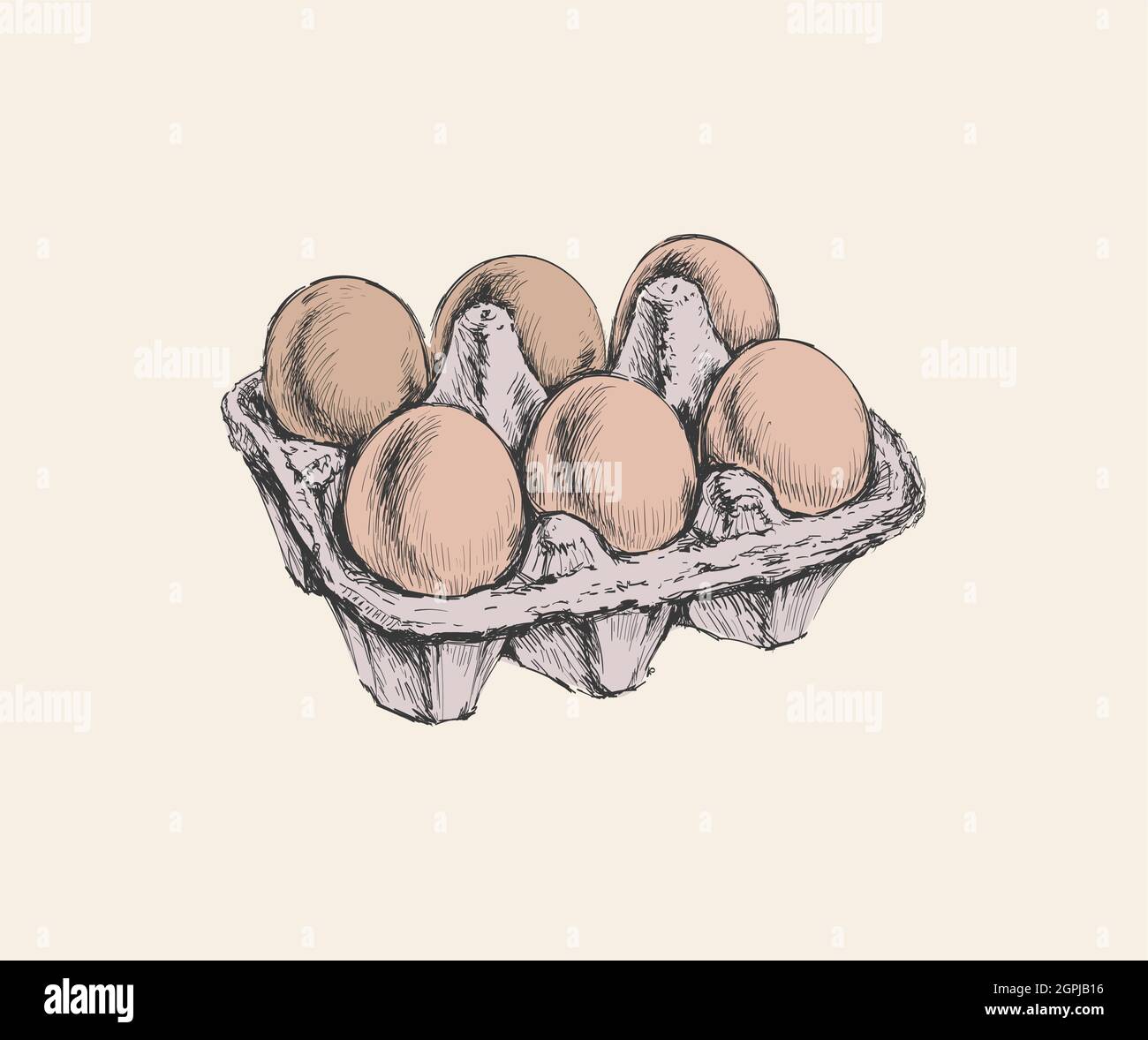 Eggs Packing Hand Drawn Illustration Isolated. Farm. Poultry farming Stock Vector Image & Art