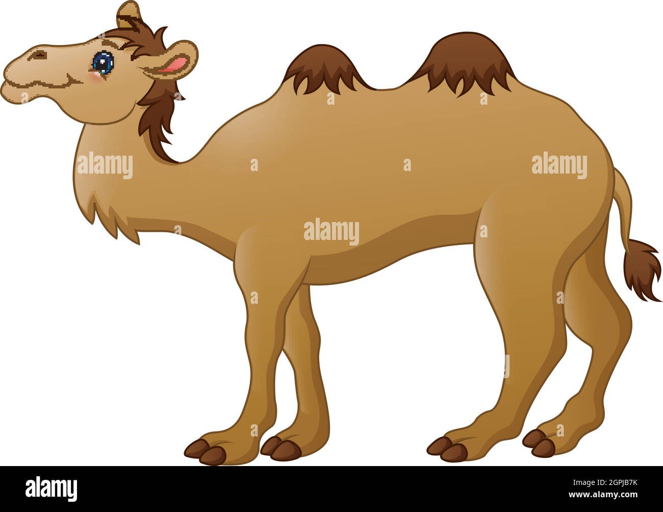 Vector illustration of Cute camel cartoon Stock Vector