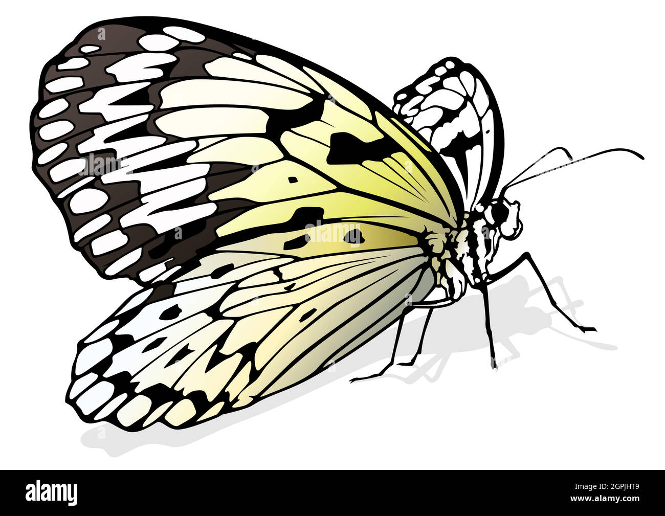 Paper Kite Butterfly Stock Vector
