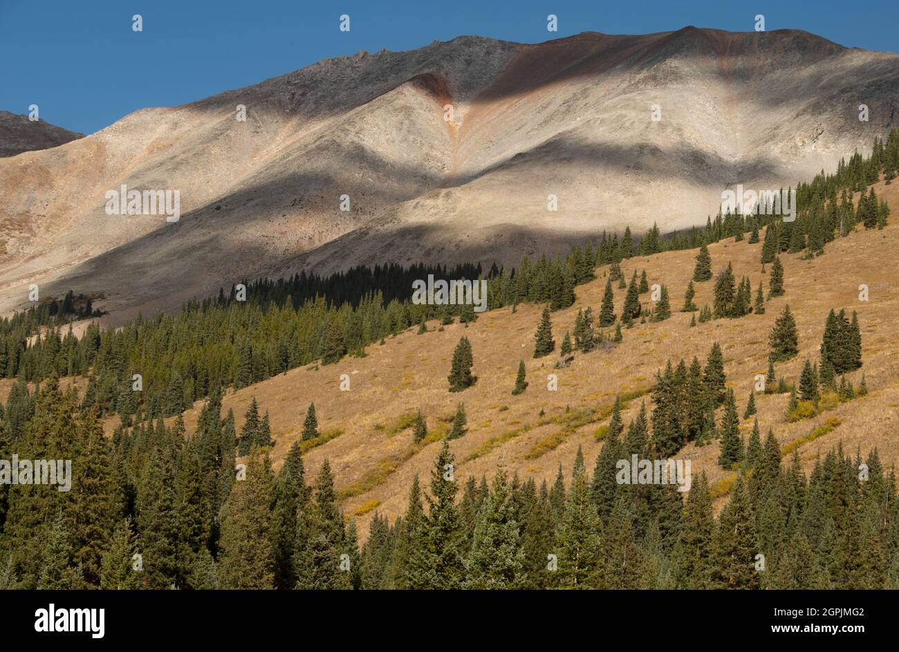 Elk Mountains, Upper Cement Creek, Gunnison County, Colorado, September Stock Photo