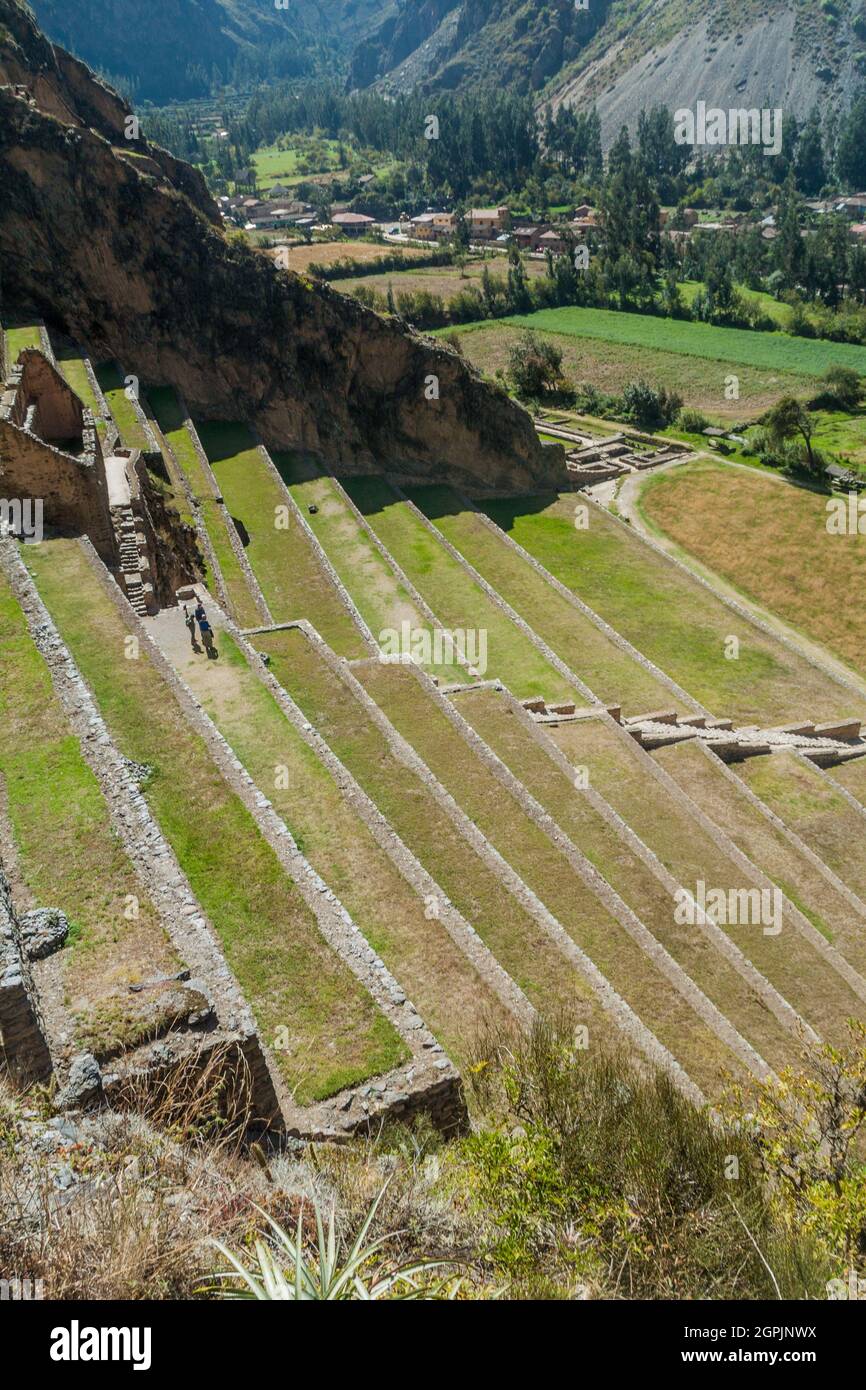 Agricultural terraces of Inca ruins of Ollantaytambo, Sacred Valley of Incas, Peru Stock Photo