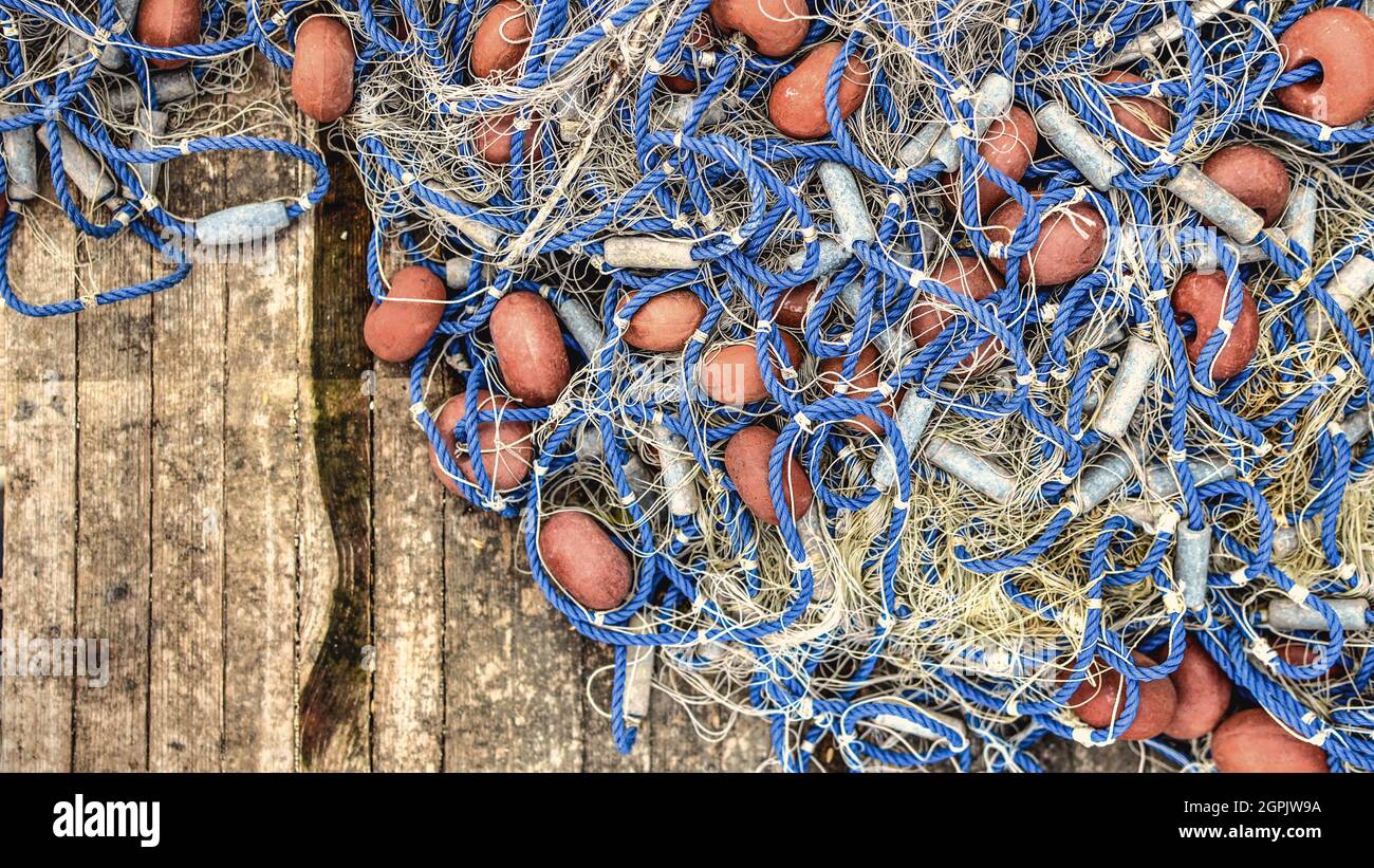 The net Fish Stock Photo - Alamy