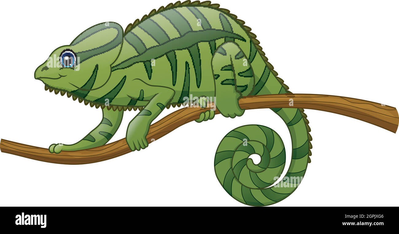 Cartoon chameleon on a branch Stock Vector