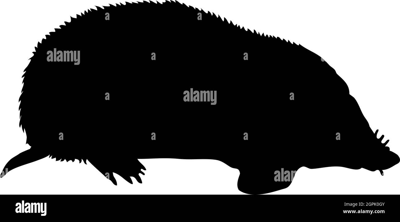 Mole-Rat Silhouette Stock Vector