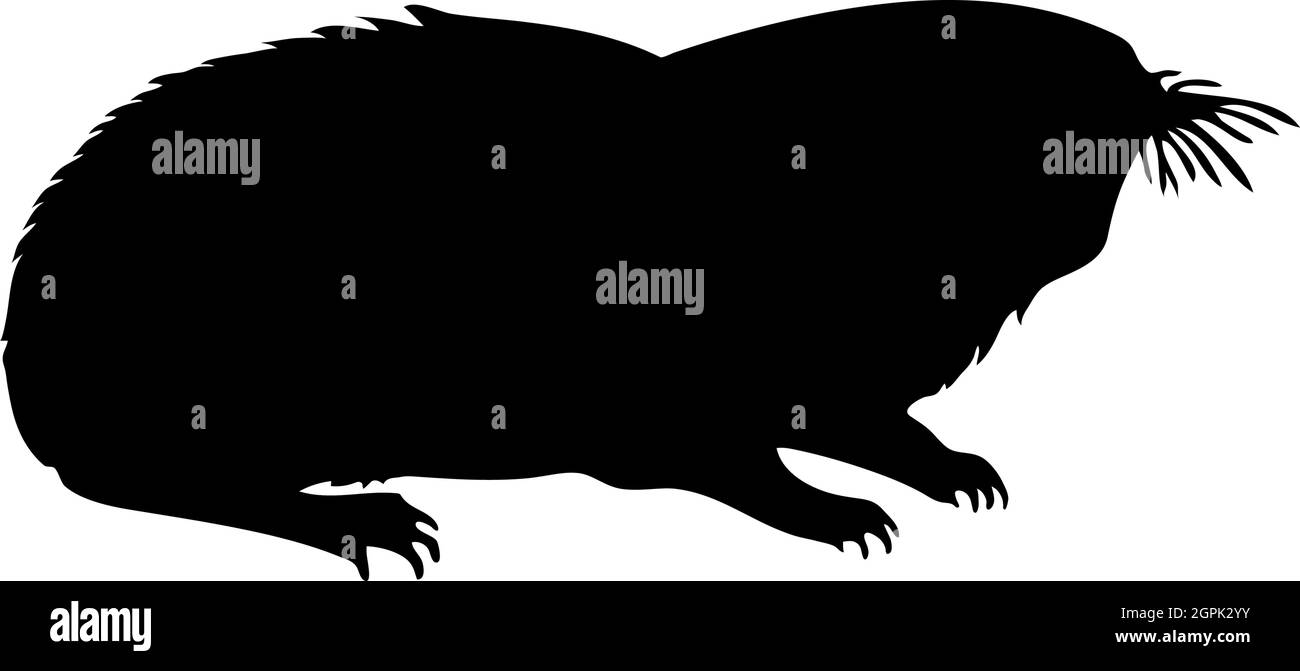 Mole-Rat Silhouette Stock Vector