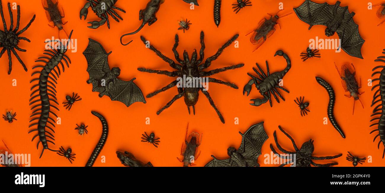Black Halloween creepy crawly bugs and spiders on orange background Stock Photo