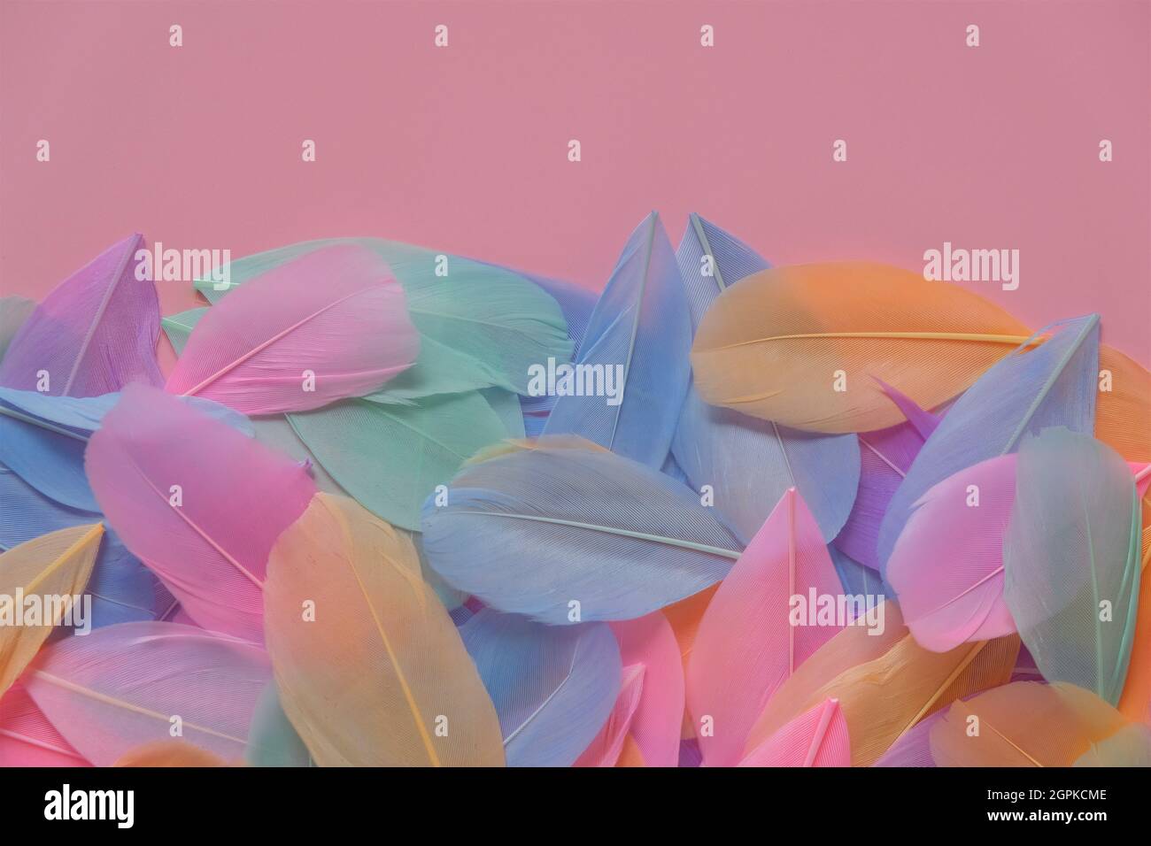 Feather wallpaper hi-res stock photography and images - Alamy