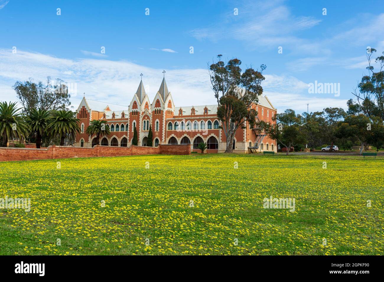 View of St Gertrude’s College with a field of yellow wildflowers in spring, New Norcia, Western Australia, Australia Stock Photo