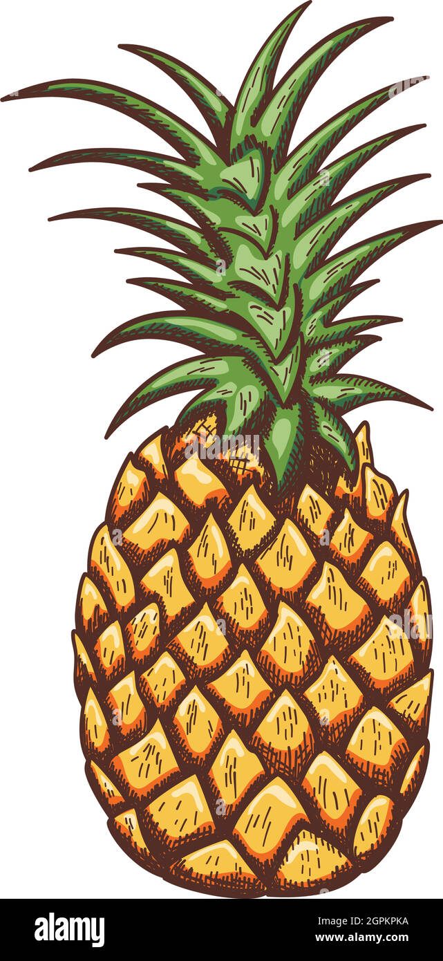Icon Of Pineapple Stock Vector