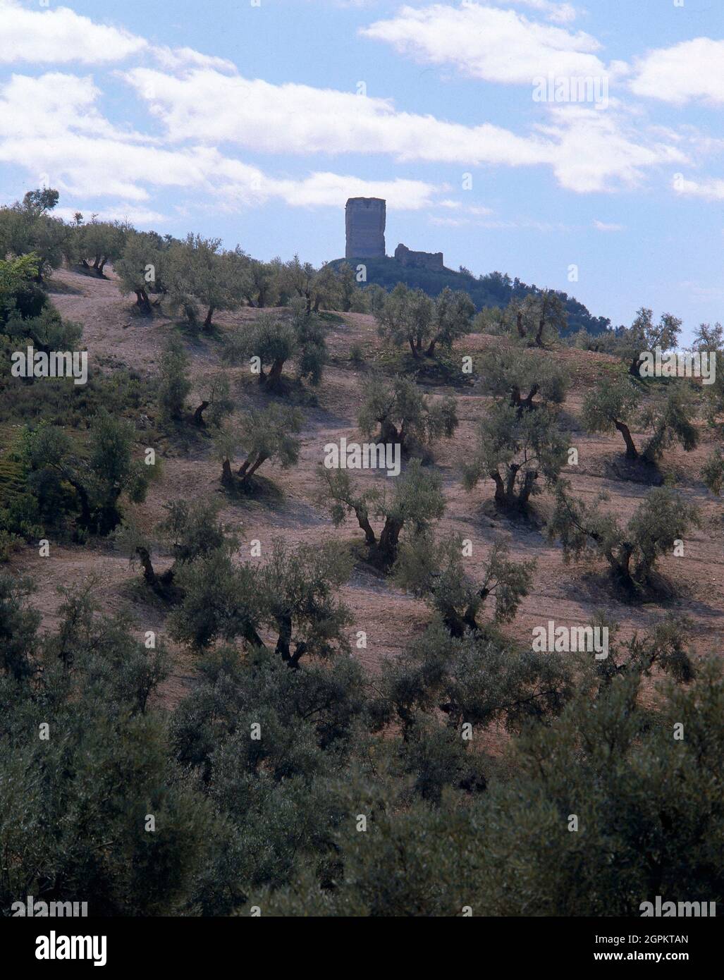 RUINAS DEL CASTILLO ARABE DEL SIGLO X TORREON. Location CASTILLO