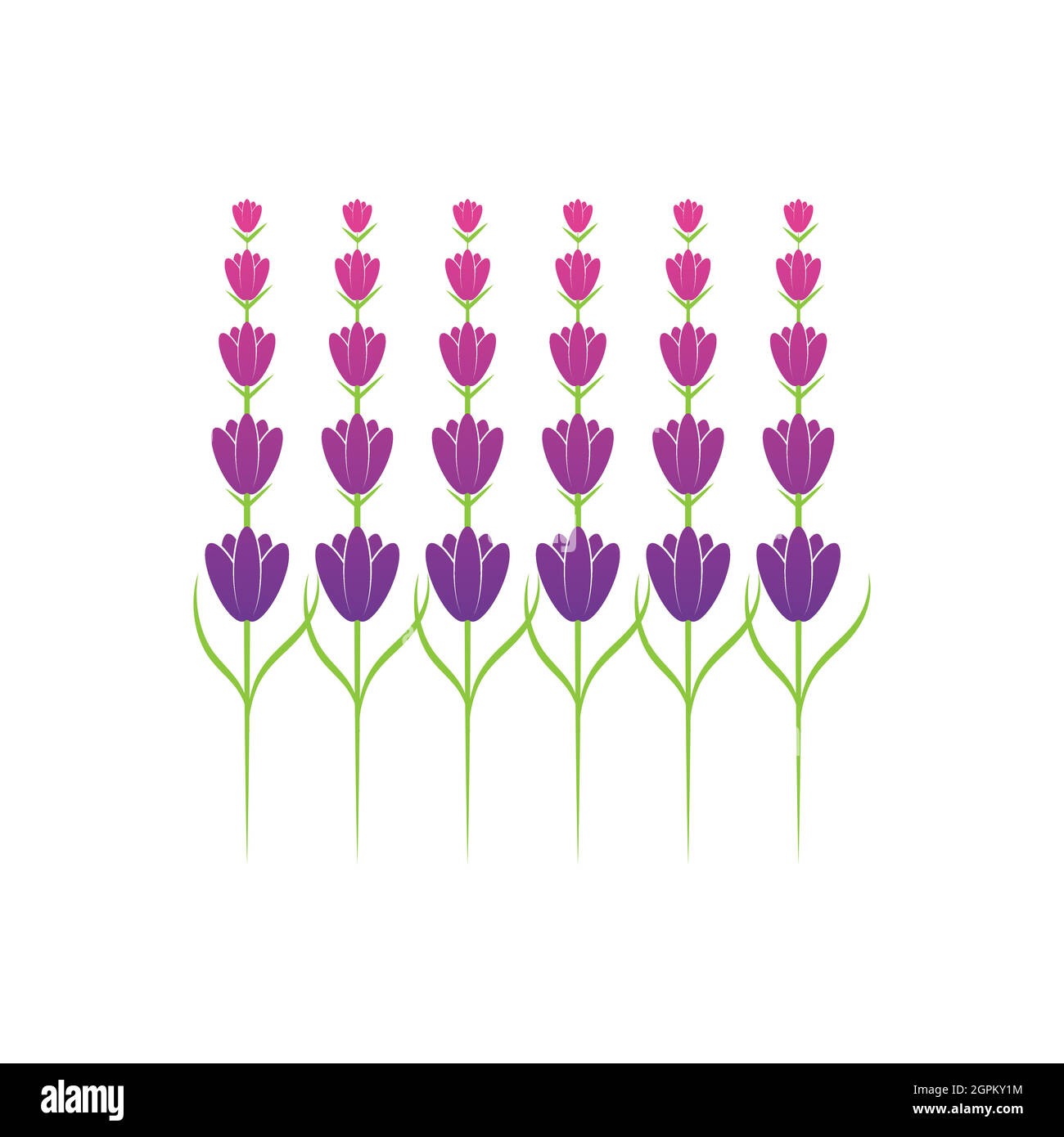 Lavender flower logo symbol template Stock Vector