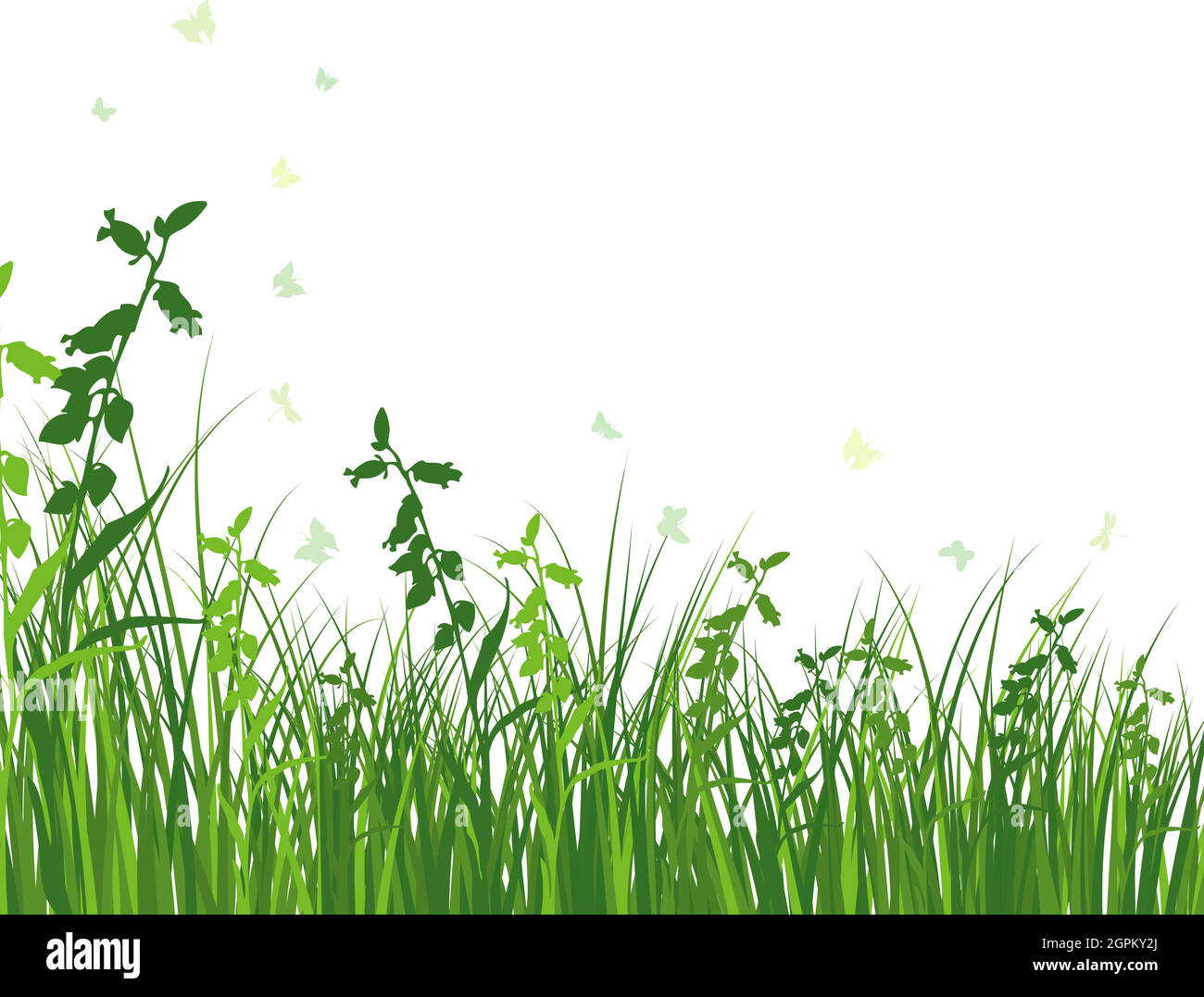 Green Grass Meadow Stock Vector Image & Art - Alamy