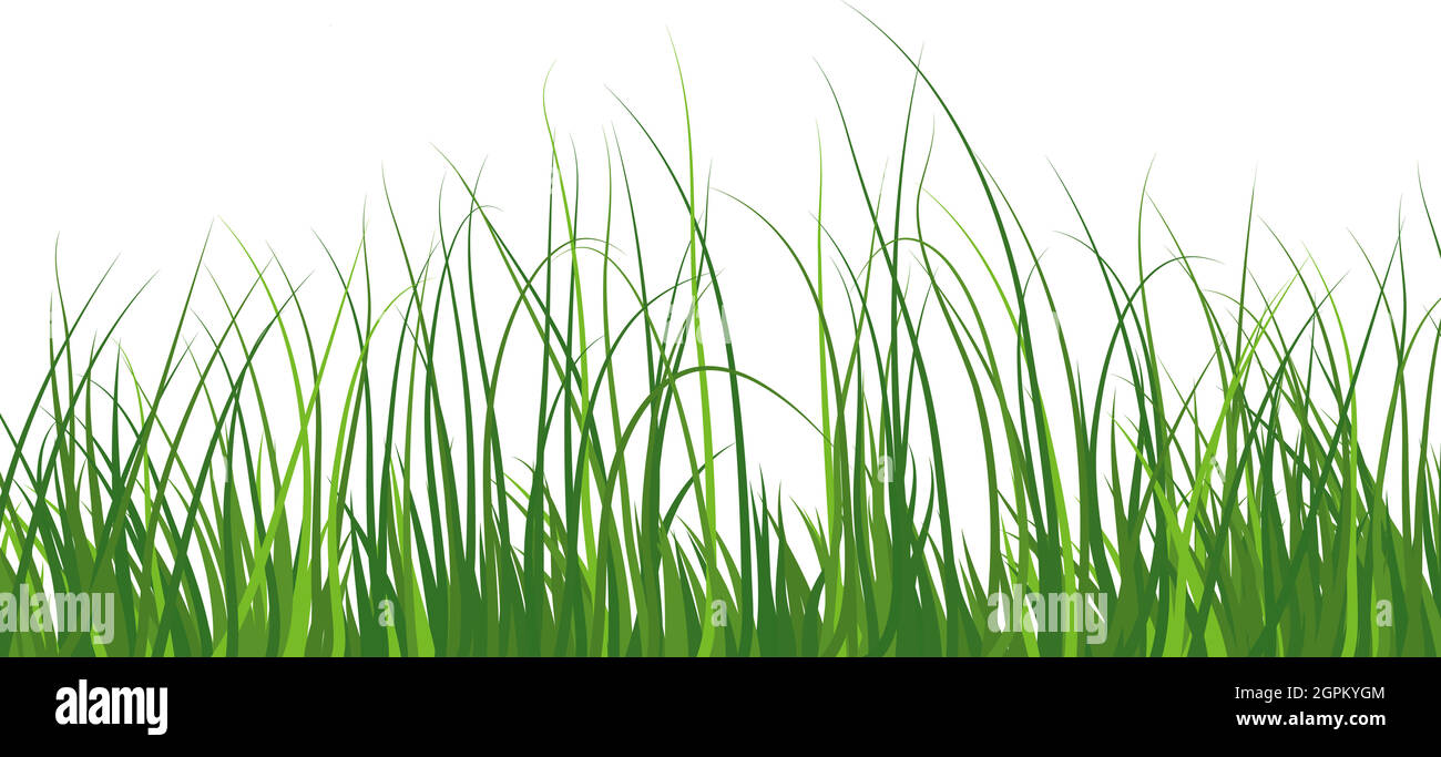Green Grass Meadow Stock Vector Image & Art - Alamy