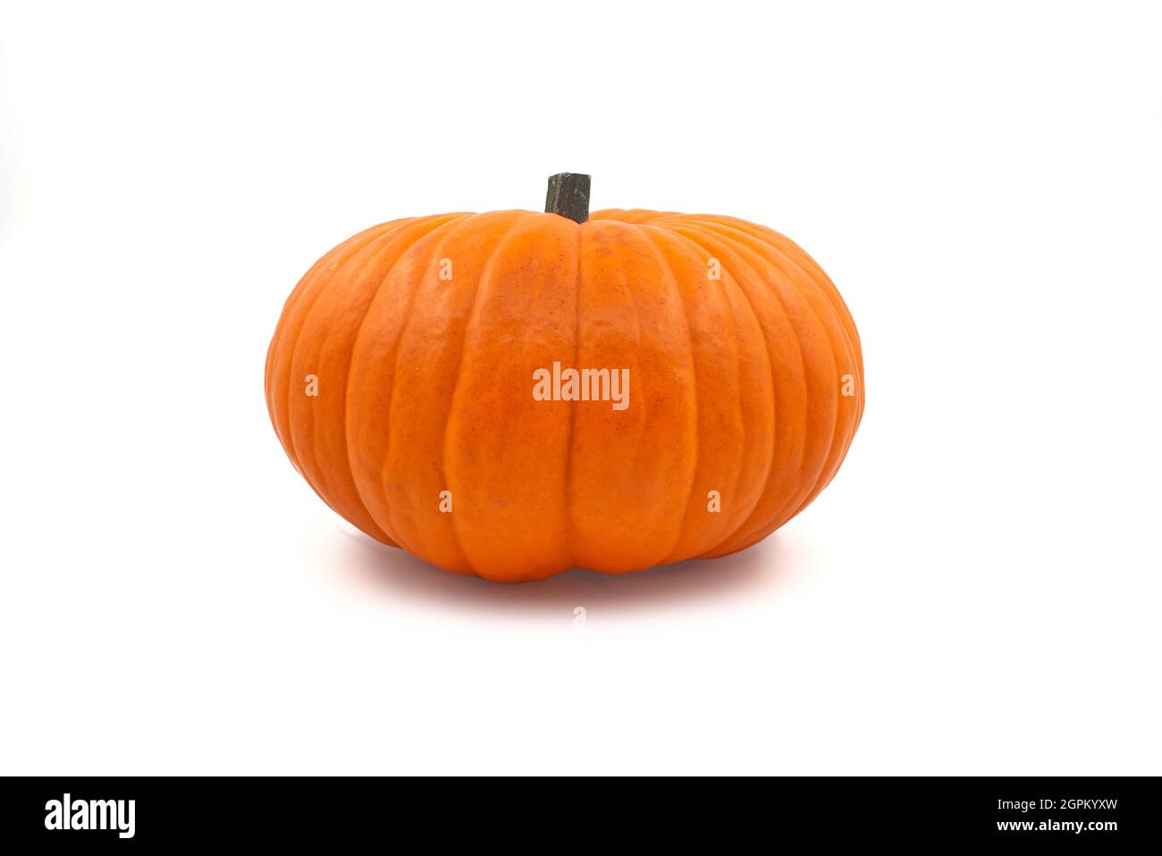 Orange pumpkin isolated on white background Stock Photo - Alamy
