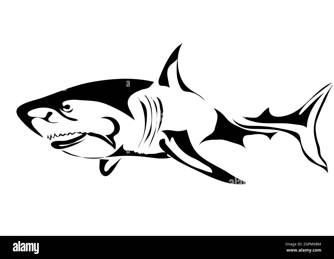 great white shark Stock Vector Image & Art - Alamy
