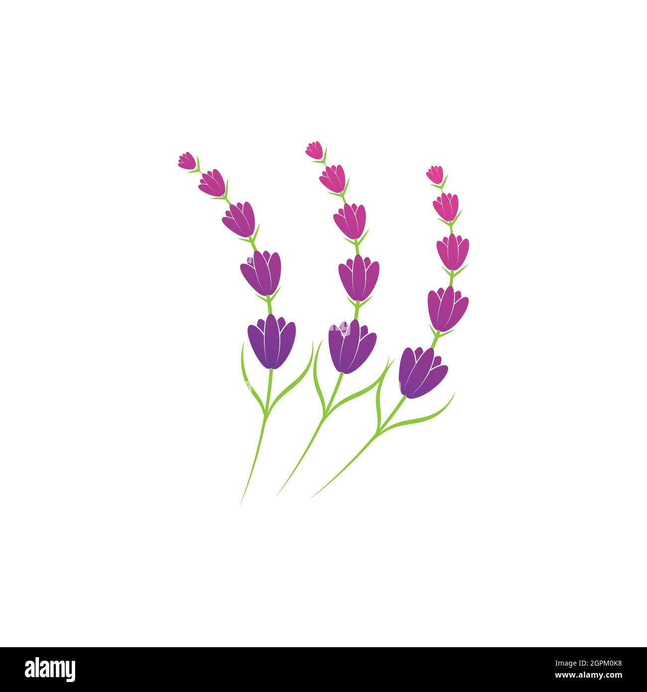 Lavender flower logo symbol template Stock Vector