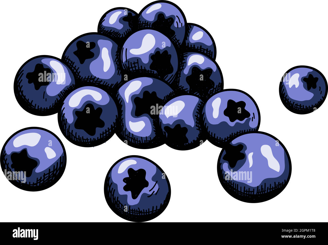 Icon Of Blueberry Stock Vector