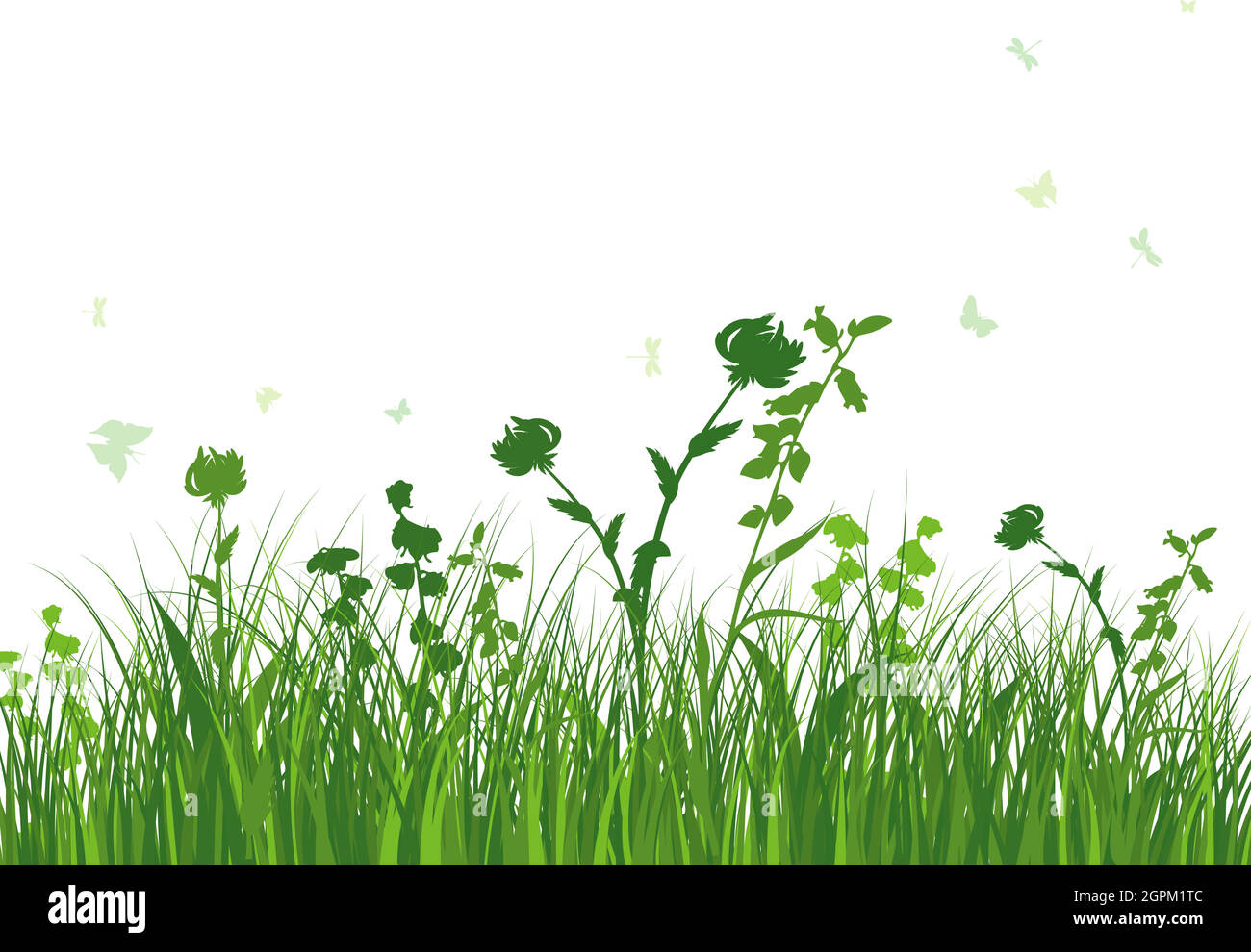 Green Grass Meadow Stock Vector Image & Art - Alamy