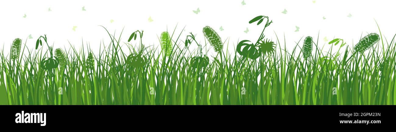 Green Grass Meadow Stock Vector Image & Art - Alamy